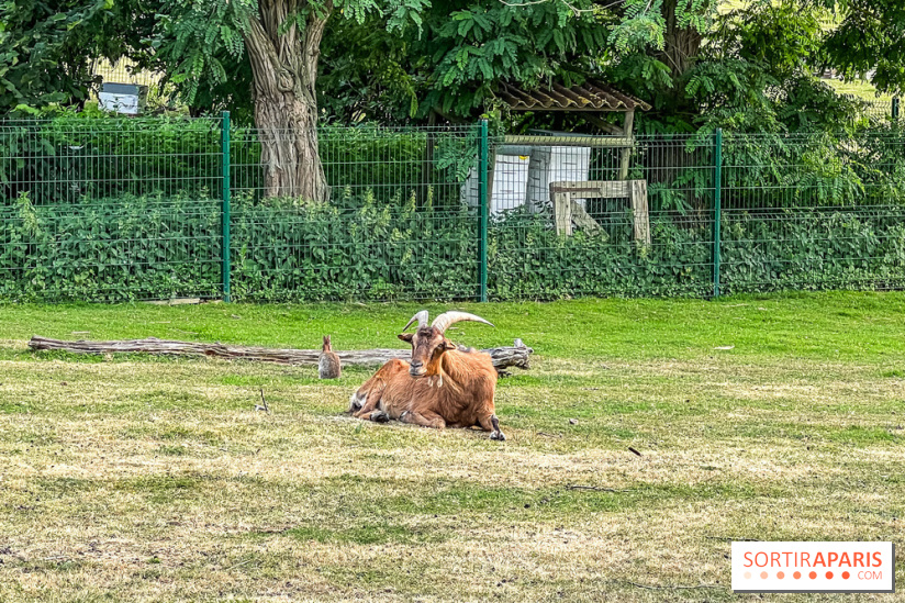 Base de loisirs de Saint-Quentin-en-Yvelines - Ile de loisirs de Trappes - activités - IMG 8647