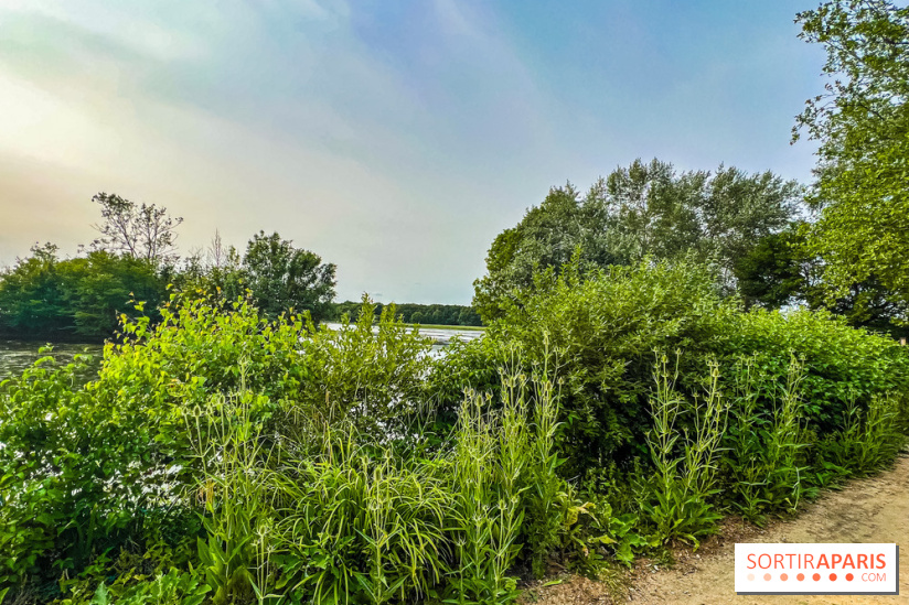 Base de loisirs de Saint-Quentin-en-Yvelines - Ile de loisirs de Trappes - activités