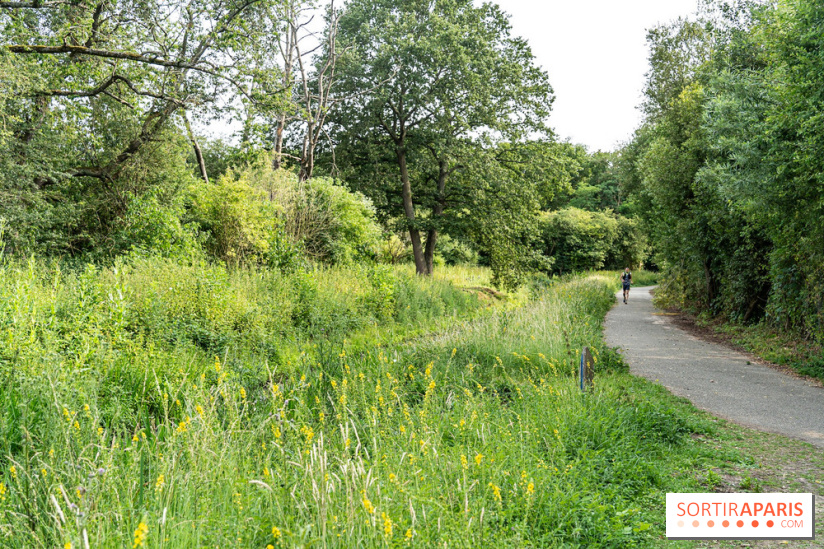 Base de loisirs de Saint-Quentin-en-Yvelines - Ile de loisirs de Trappes - activités