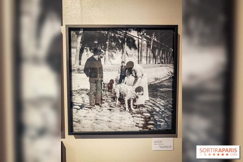 Paris Rive droite / Rive gauche : l'exposition photo autour de la Seine à la galerie Roger-Viollet  - IMG20230629093418