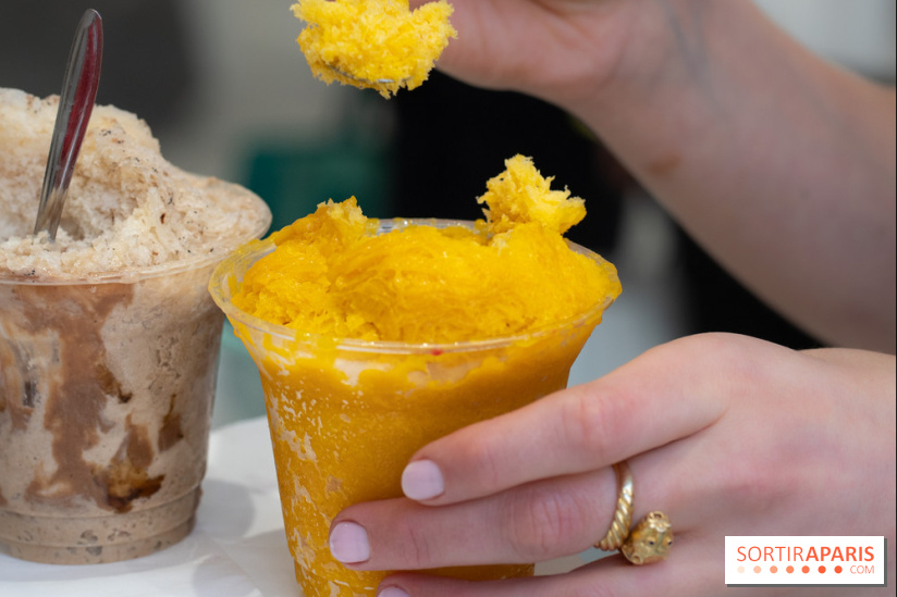 Granités-Neige de Jade Génin, l'Été Sous le Signe du Kakigori Réinventé -  A7C7575