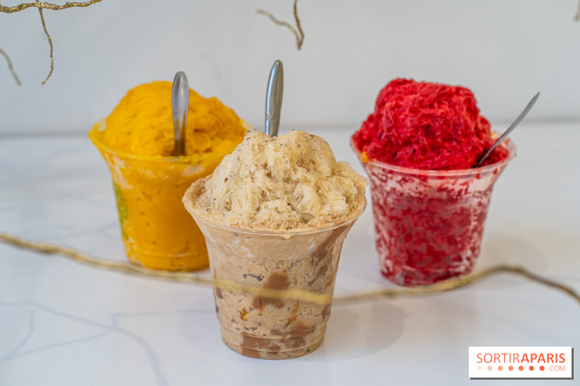 Granités-Neige de Jade Génin, l'Été Sous le Signe du Kakigori Réinventé -  A7C7560