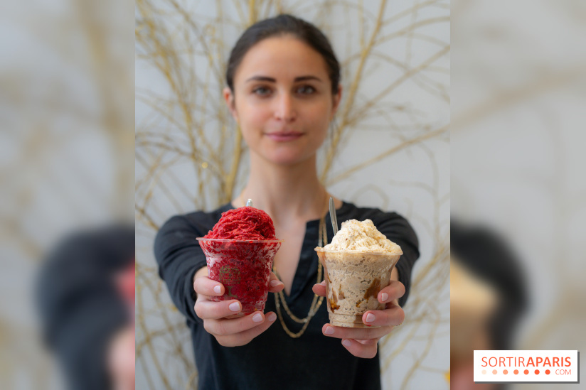 Granités-Neige de Jade Génin, l'Été Sous le Signe du Kakigori Réinventé