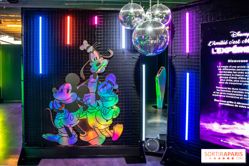 Disney 100 L'Amitié c'est Merveilleux