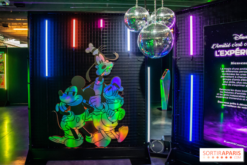 Disney 100 L'Amitié c'est Merveilleux