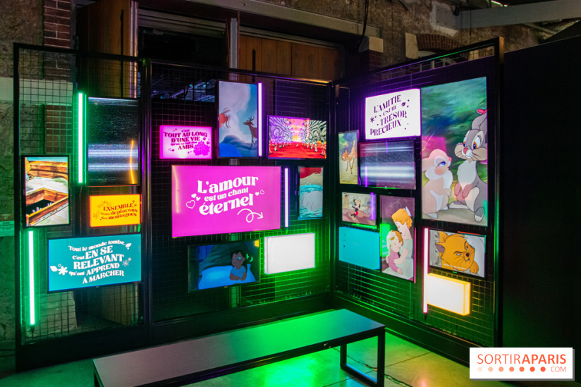 Disney 100 L'Amitié c'est Merveilleux