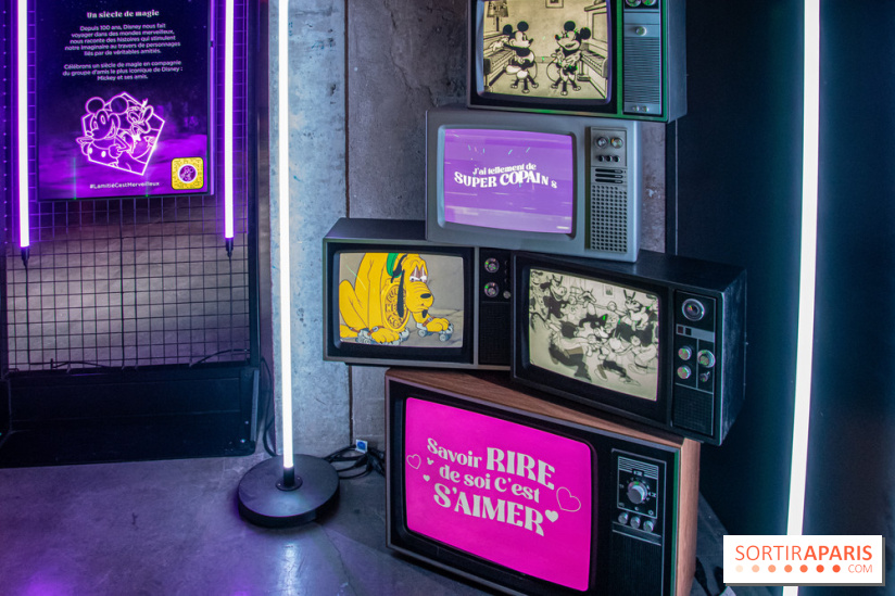 Disney 100 L'Amitié c'est Merveilleux