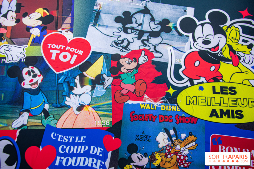 Disney 100 L'Amitié c'est Merveilleux