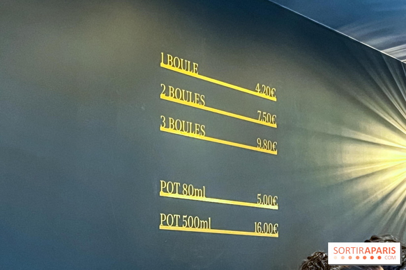 Le glacier Gérard Taurin à Paris - Meilleur Ouvrier de France - IMG 8723