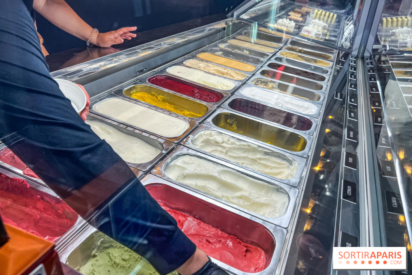 Le glacier Gérard Taurin à Paris - Meilleur Ouvrier de France - IMG 8725
