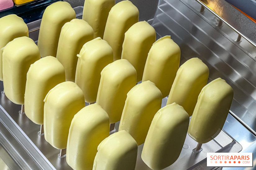 Le glacier Gérard Taurin à Paris - Meilleur Ouvrier de France - IMG 8728