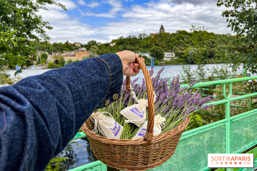 Fête de la Lavande sur le site Seine Aval Achères/Maisons-Laffitte