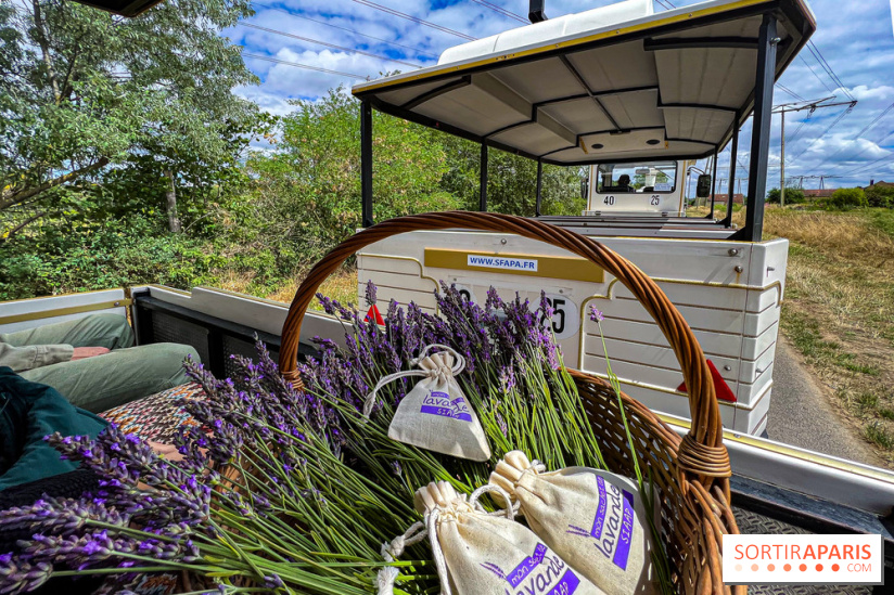 Fête de la Lavande sur le site Seine Aval Achères/Maisons-Laffitte - image00007