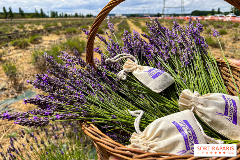 Fête de la Lavande sur le site Seine Aval Achères/Maisons-Laffitte - image00010