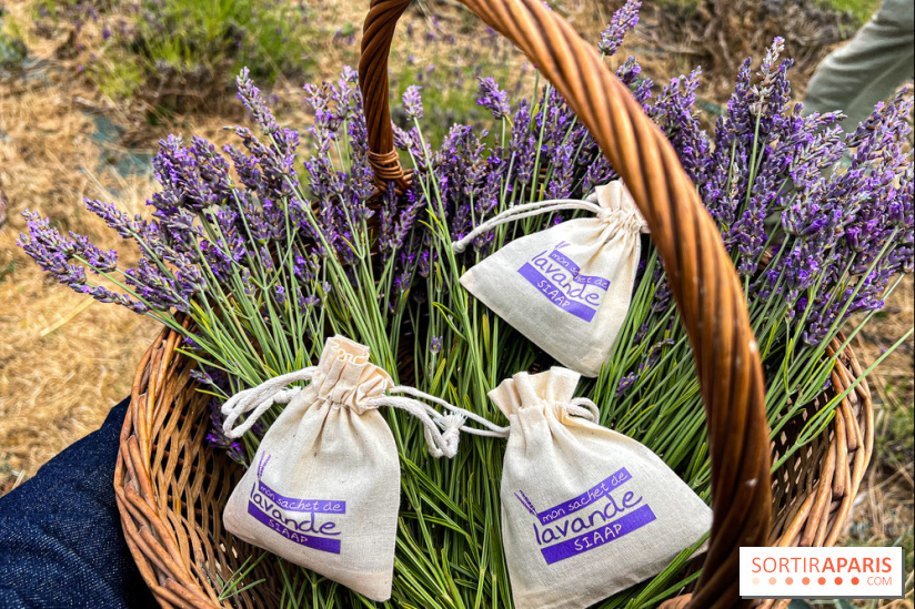 Fête de la Lavande sur le site Seine Aval Achères/Maisons-Laffitte - image00011