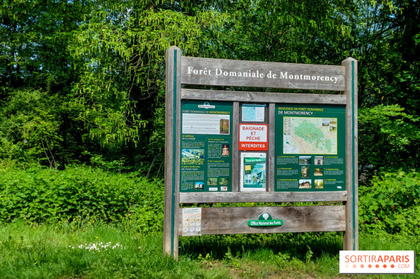 Balade nature dans la forêt de Montmorency, nos photos