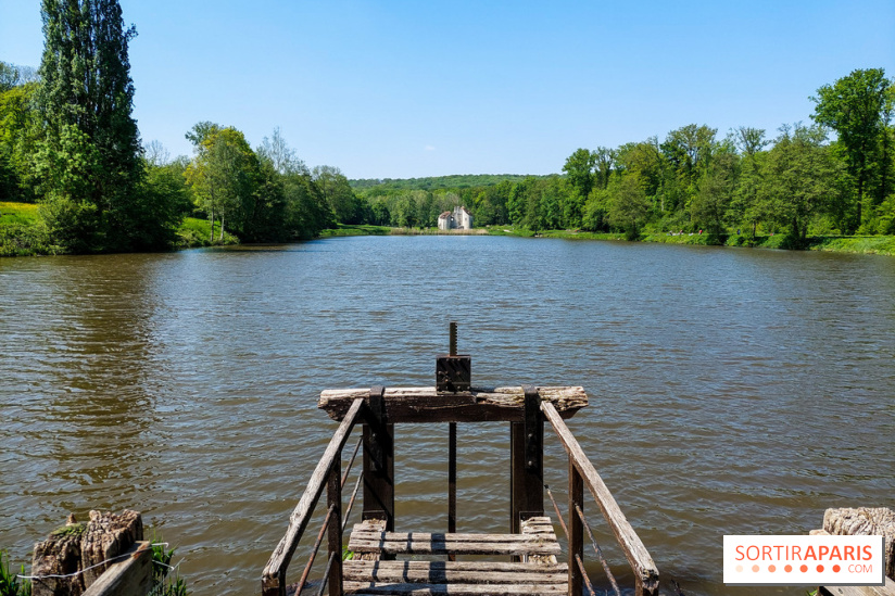 Balade nature dans la forêt de Montmorency, nos photos