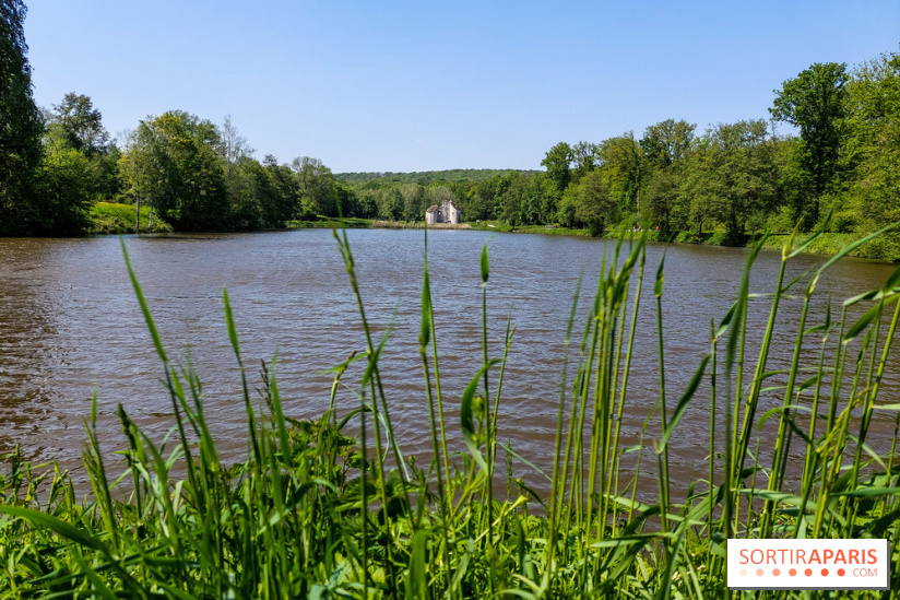Balade nature dans la forêt de Montmorency, nos photos