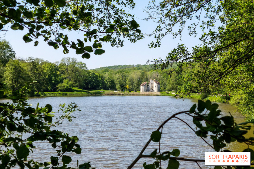Balade nature dans la forêt de Montmorency, nos photos