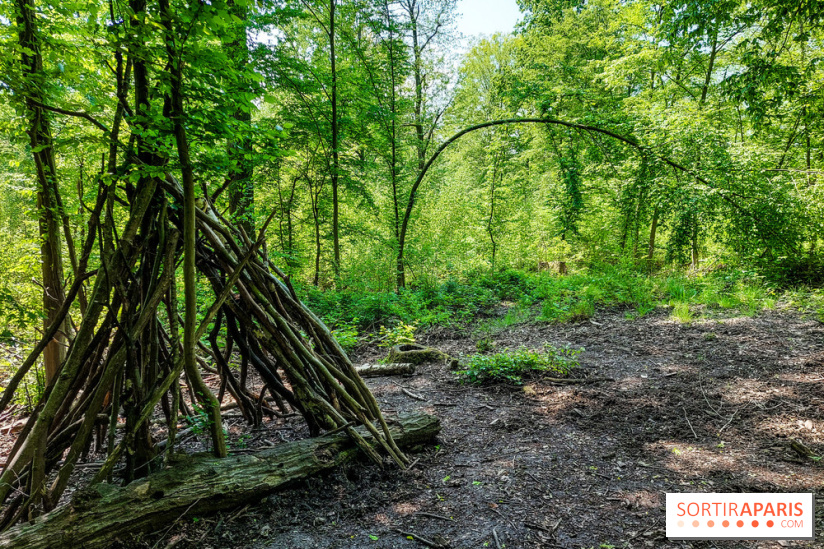 Balade nature dans la forêt de Montmorency, nos photos