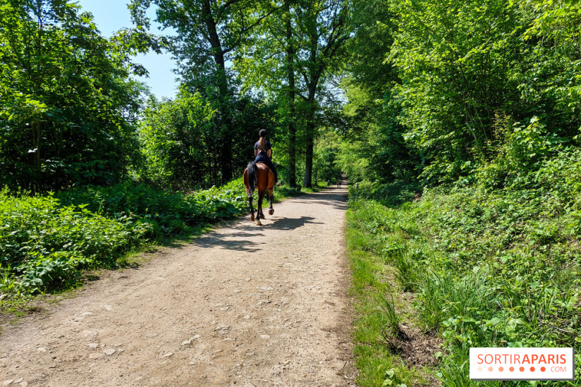 Balade nature dans la forêt de Montmorency, nos photos