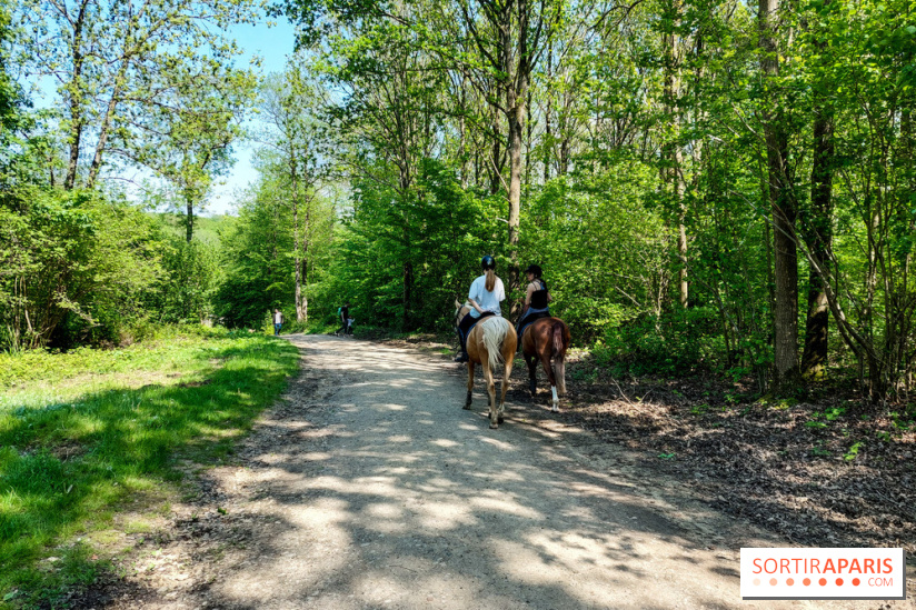 Balade nature dans la forêt de Montmorency, nos photos