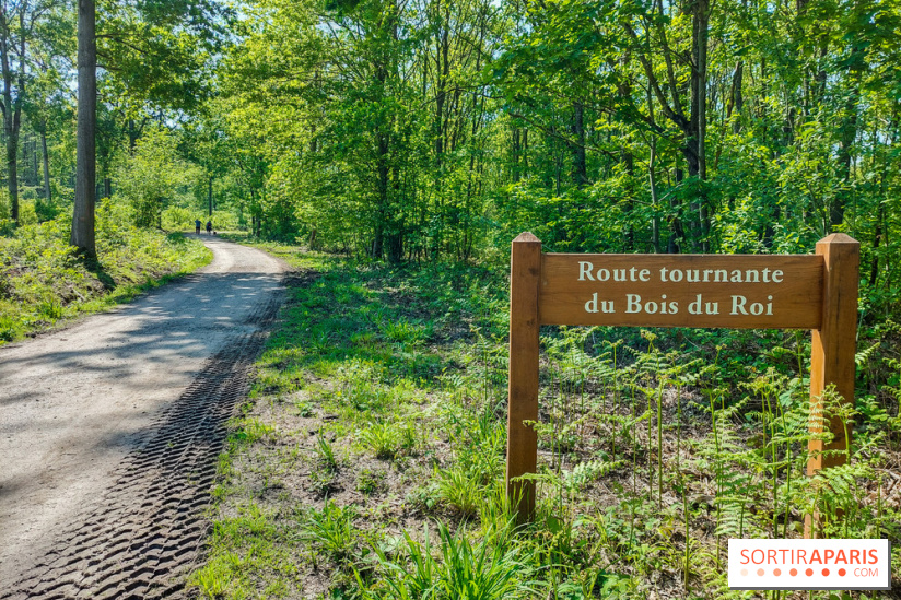 Balade nature dans la forêt de Montmorency, nos photos