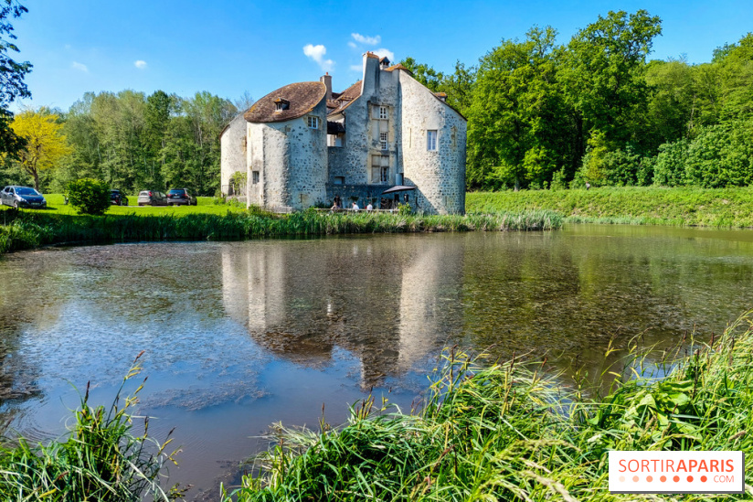 Balade nature dans la forêt de Montmorency, nos photos