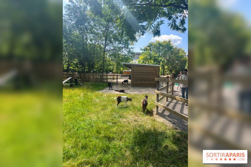 La ferme de la Villette et ses animaux