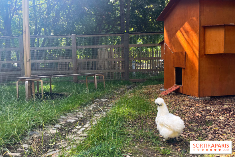 La ferme de la Villette et ses animaux