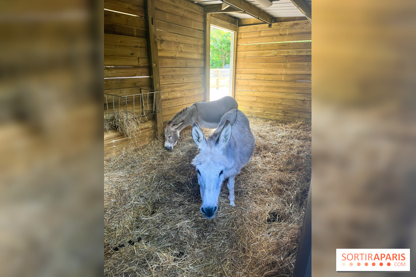 La ferme de la Villette et ses animaux