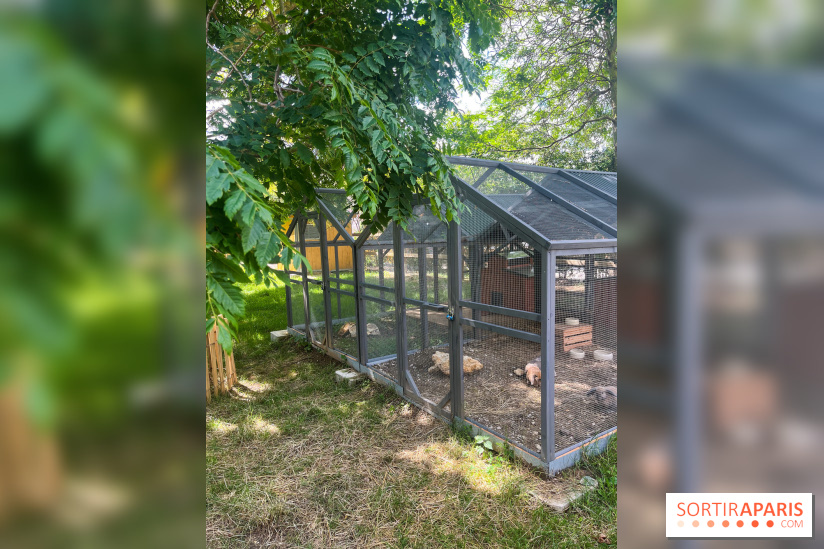 La ferme de la Villette et ses animaux
