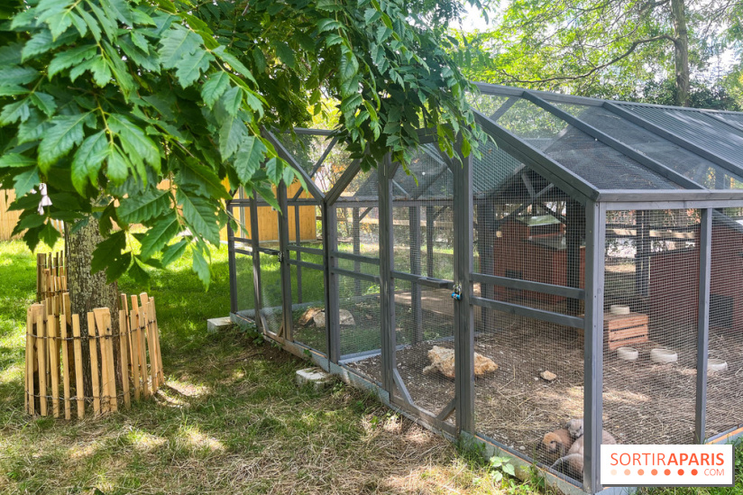 La ferme de la Villette et ses animaux