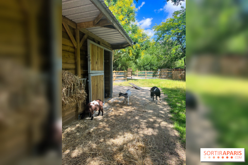La ferme de la Villette et ses animaux