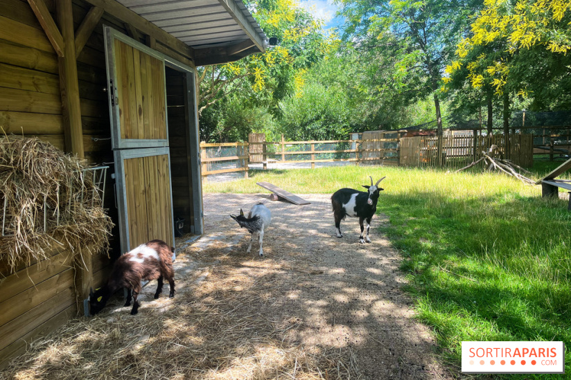 La ferme de la Villette et ses animaux