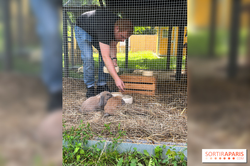 La ferme de la Villette et ses animaux