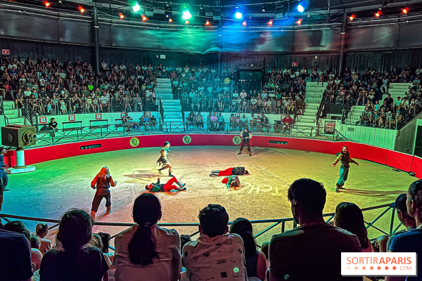 L'Été Gaulois au Parc Astérix  - IMG 9256