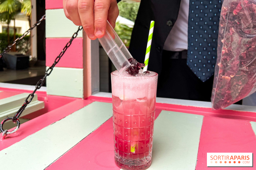 Les Jardins du Marais : la terrasse de l'été 2023 - image00015