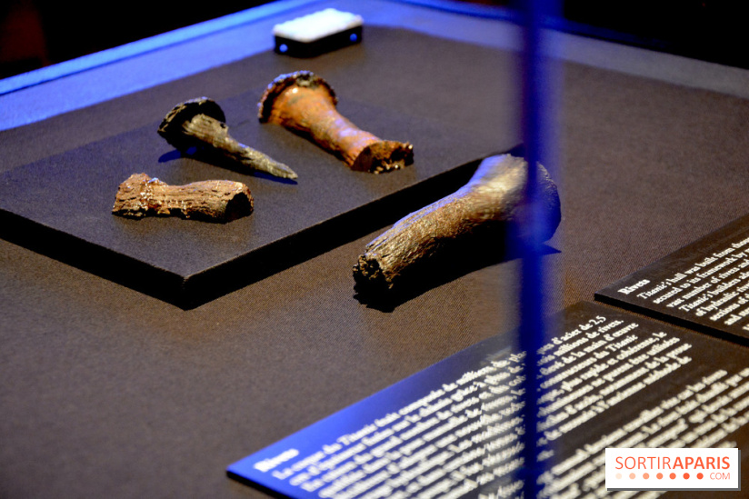 Titanic l'exposition immersive à Paris en 2023 - DSC 0156