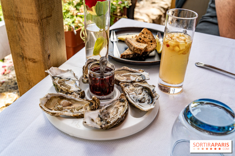 Le village de Flagy en Seine et Marne -  A7C8695
