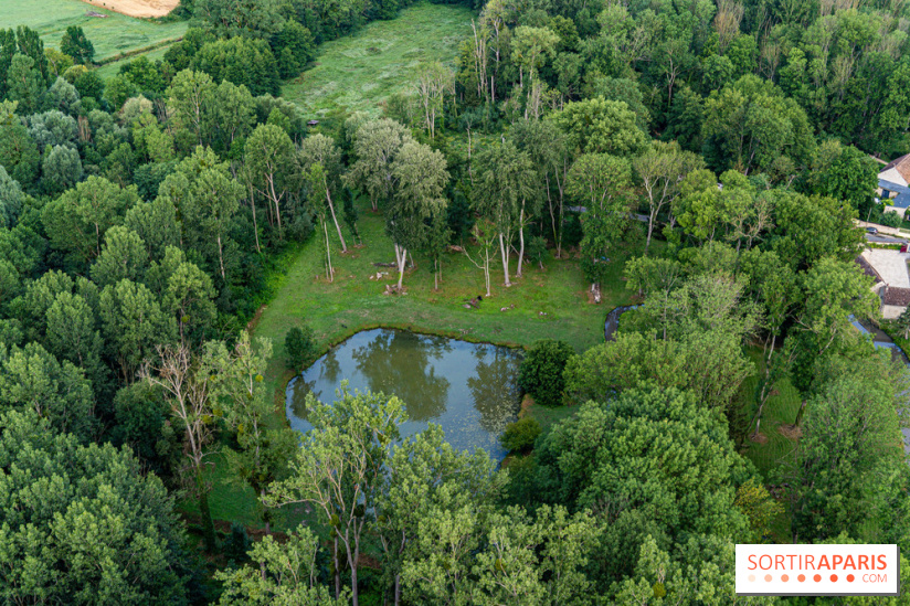Montgolfière à Fontainebleau, vol au dessus de l'Ile-de-France -  A7C8986