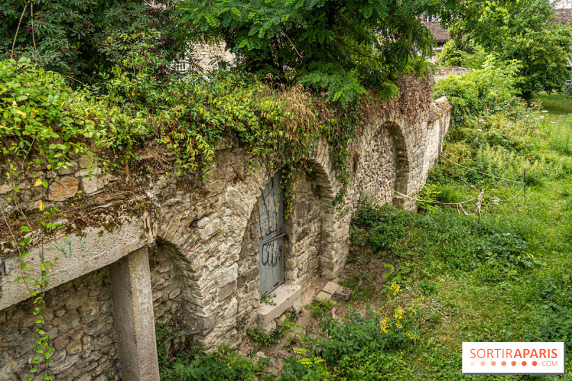 Samois-sur-Seine - Village de Caractère - Seine-et-Marne -  A7C9215