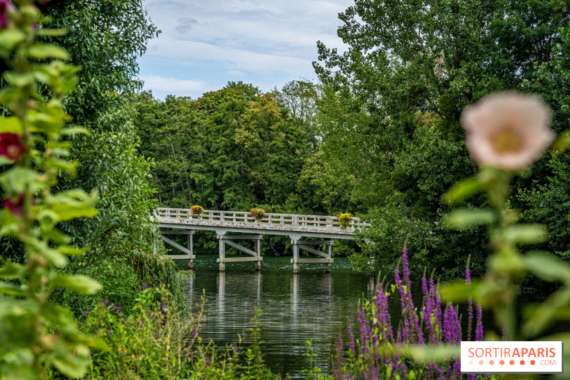 Samois-sur-Seine - Village de Caractère - Seine-et-Marne -  A7C9273