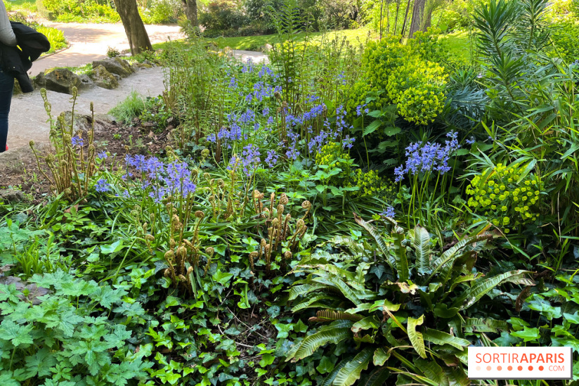 Le parc Kellerman, bijou de verdure dans le 13e arrondissement  - image00020
