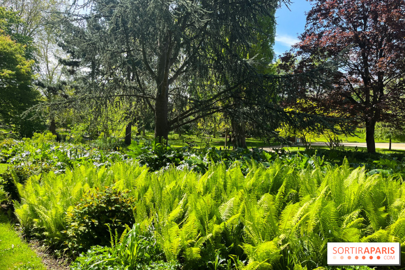 Le parc Kellerman, bijou de verdure dans le 13e arrondissement