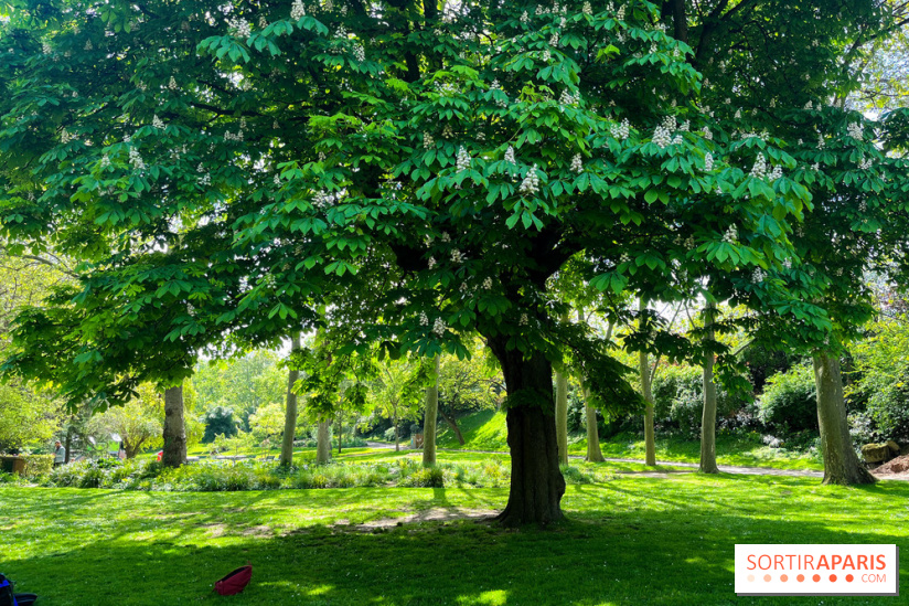 Le parc Kellerman, bijou de verdure dans le 13e arrondissement  - image00012