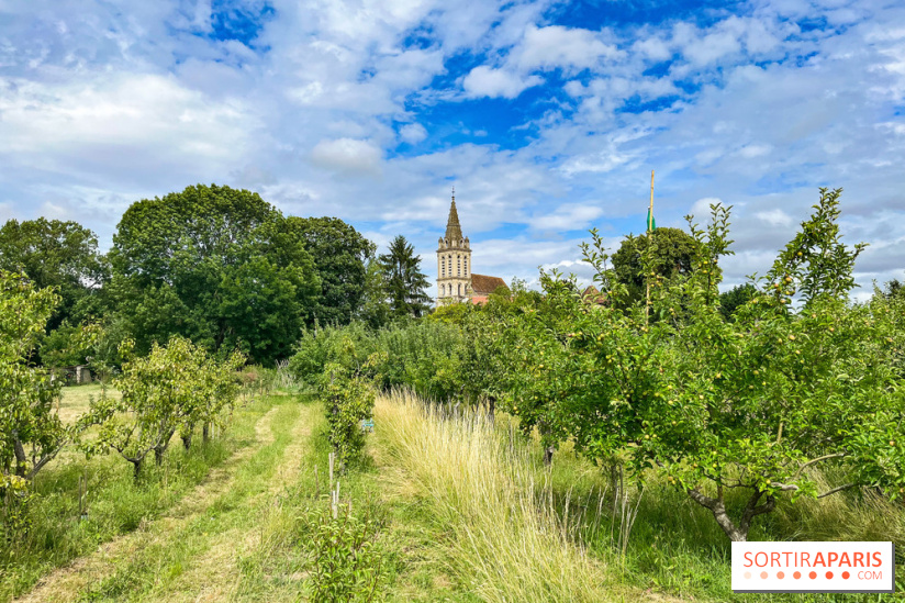 Cergy, la ville aux milles facettes - image00130