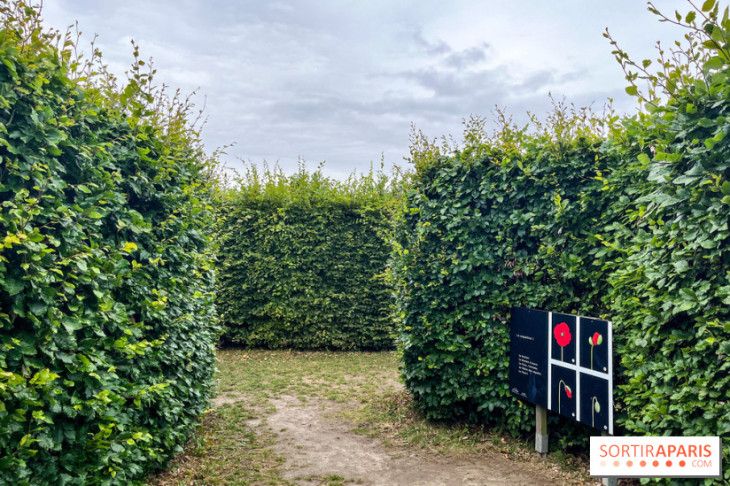Les labyrinthes de Gally 2023