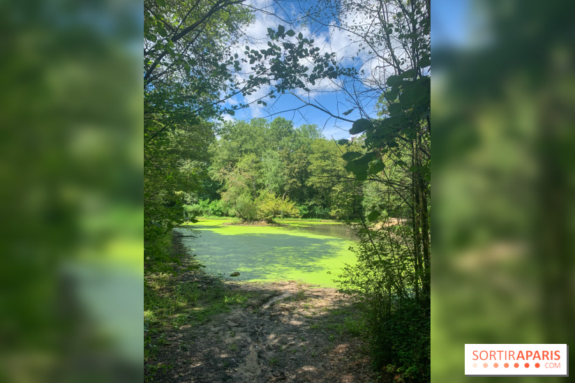 Le Parc forestier de la Poudrerie à Sevran - image00002