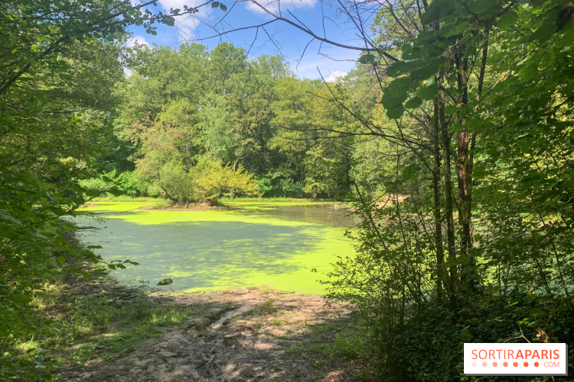Le Parc forestier de la Poudrerie à Sevran